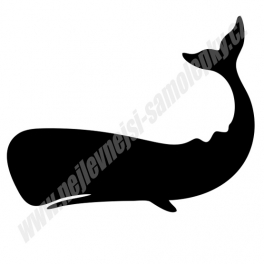 Samolepka velryba